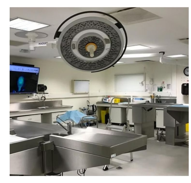 Service Image